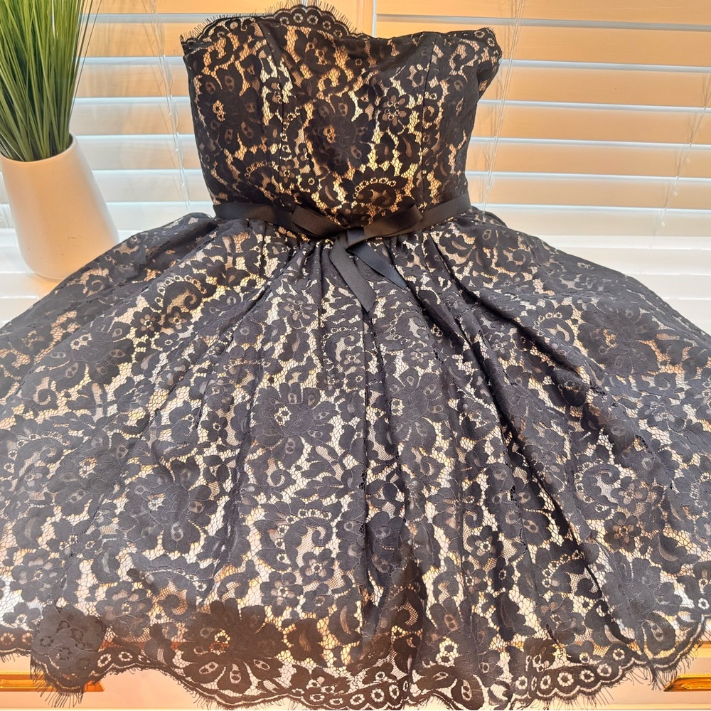 Robert Rodriguez Black and Tan Strapless Fit and Flare Dress